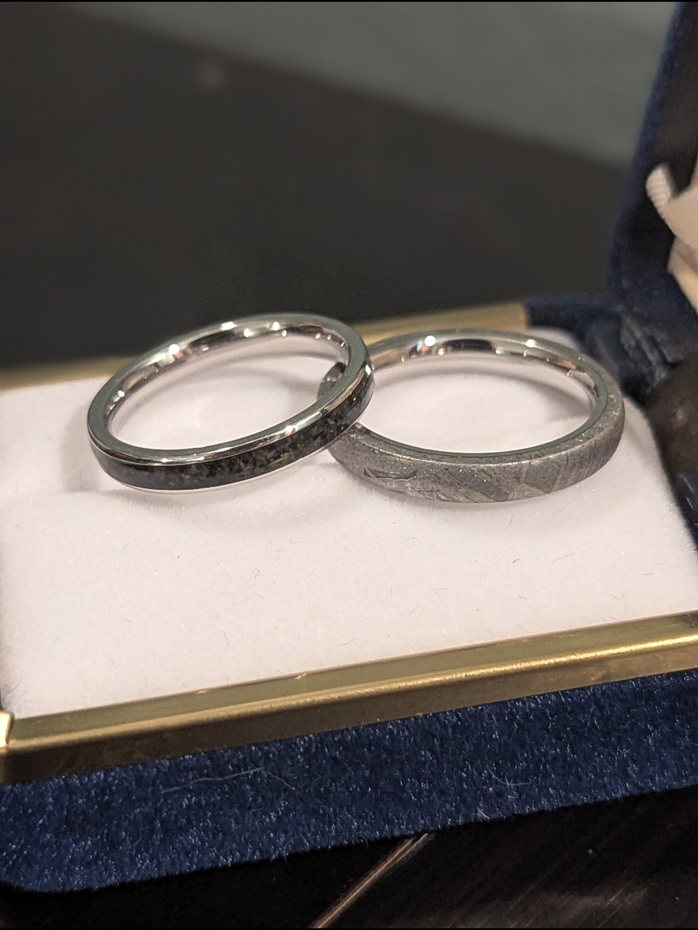 Manly BANDS/Rosie Ray Custom Ring Set Meteorite And Dinosaur Bone Cobalt Chrome